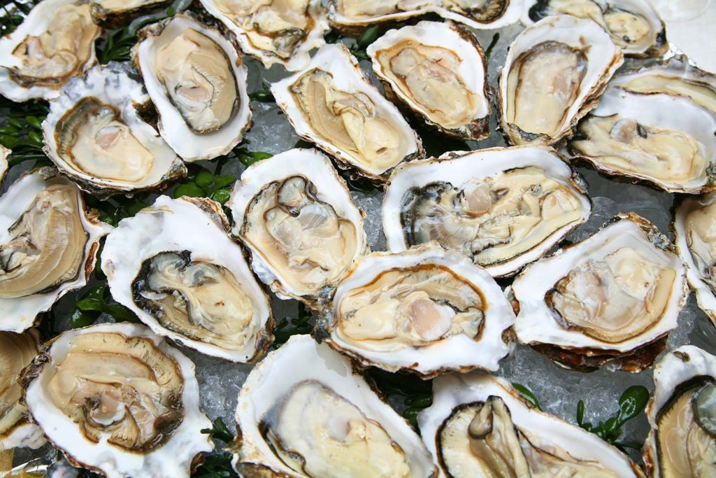 1 dozen Fresh XL Sydney Rock Oysters